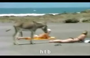 XXX 黒い男と白い女の子 えろ 女